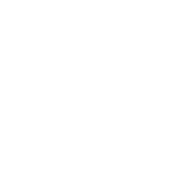 Orion Intelligent Systems LLC